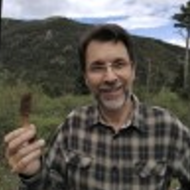 Llorenç Valsells Terricabras